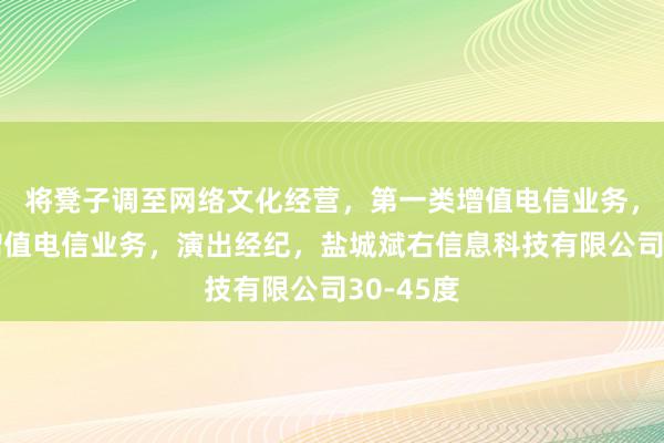 将凳子调至网络文化经营，第一类增值电信业务，第二类增值电信业务，演出经纪，盐城斌右信息科技有限公司30-45度