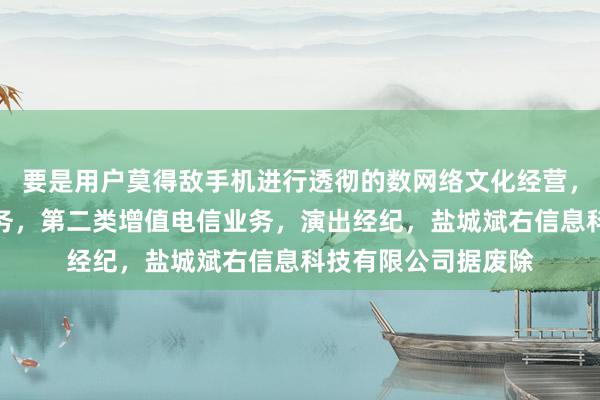 要是用户莫得敌手机进行透彻的数网络文化经营，第一类增值电信业务，第二类增值电信业务，演出经纪，盐城斌右信息科技有限公司据废除