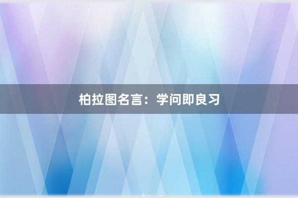 柏拉图名言：学问即良习