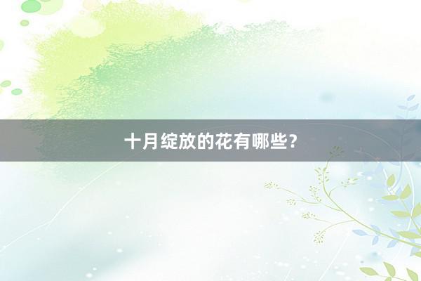 十月绽放的花有哪些？