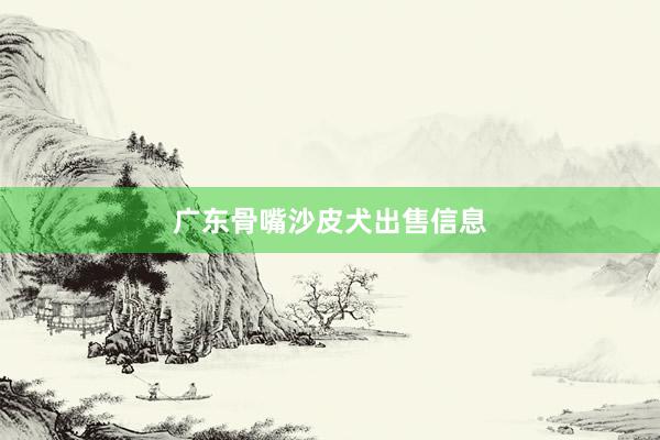 广东骨嘴沙皮犬出售信息