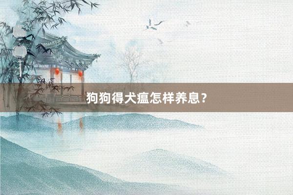 狗狗得犬瘟怎样养息？