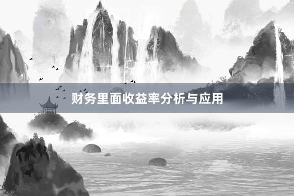 财务里面收益率分析与应用