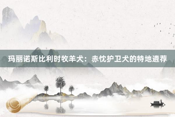 玛丽诺斯比利时牧羊犬:赤忱护卫犬的特地遴荐